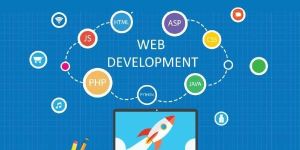 Website Development Services