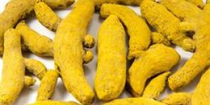 Natural Turmeric Finger