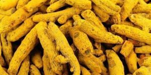 Organic Turmeric Finger