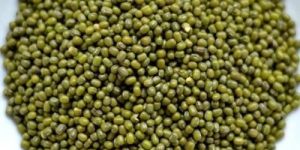 Whole Moong Dal