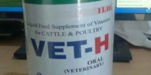 Vet-H Liquid Animal Feed Supplement