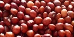 Tuar (Pigeon Peas)
