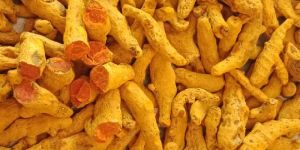 Turmeric