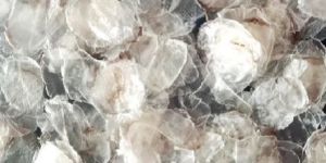 Demineralized Fish Scale