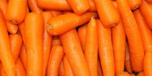 Carrots