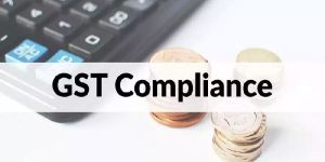GST Compliance and Advisory Services