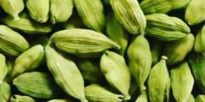 Indian Spices