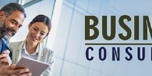 Business Consulting Services