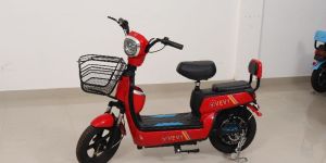 Electric Bike