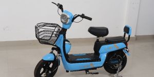 Electric Motorcycles