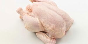 Chicken Meat