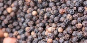 Black Pepper