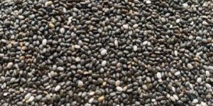 Chia Seeds