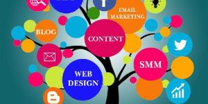 Digital Marketing Training Services