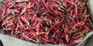 Dry Red Chilli