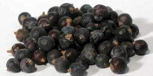 Juniper Berries