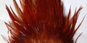 Indian Cock Cape Hackle