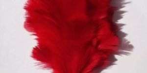 Regimental Hackles