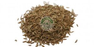 Cumin Seeds
