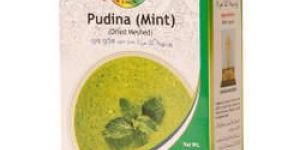 Pudina Premix Drink Powder