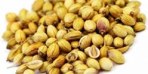Coriander Seeds