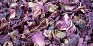 Dry Rose Petals