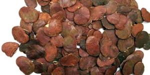 Palash Seed