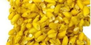 Silkworm Cocoons