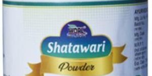 Shatavari Powder