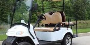 Electric Golf Cart