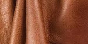 Soft Finished Leather