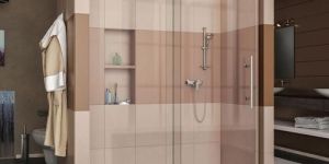 Shower Glass Door