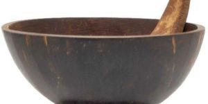 Coconut Shell Ice Cream Cup