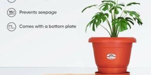 Vectus Maali Terracotta Planter