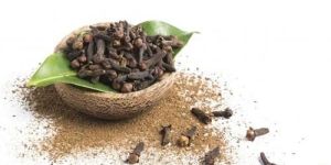 Clove Dry Extract