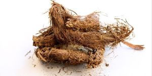 Jatamansi Dry Extract