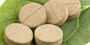Tulsi Tablets