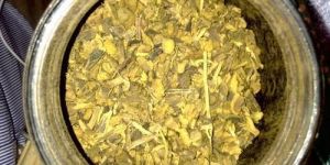 Yellow Dock Root
