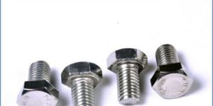 Stainless Steel Hex Bolts