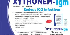 Xythonem 1gm Injection