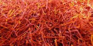 Fresh Saffron