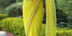 Net Embroidered Sarees