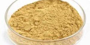 Yeast Extract