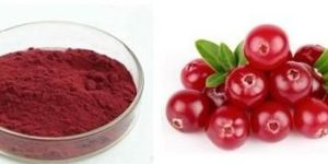 Cranberry Extract
