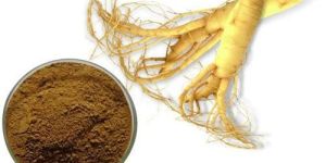 Ginseng Extract