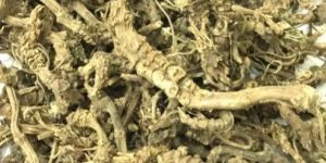 Valerian Root