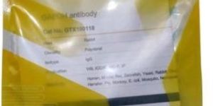 Monoclonal Antibody