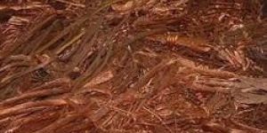 Copper Scrap