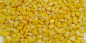 Frozen Sweet Corn
