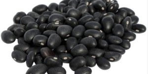 Black Gram Beans